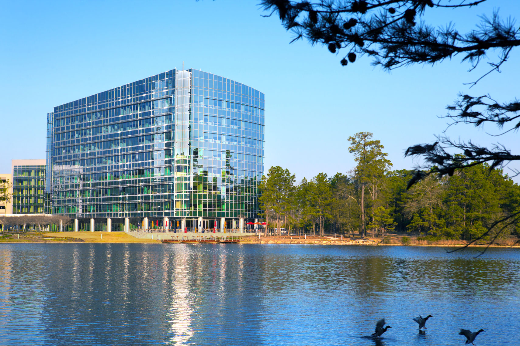 Architectural Photography of a midrise Office Building on a lake with ducks